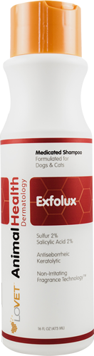 Exfolux Shampoo