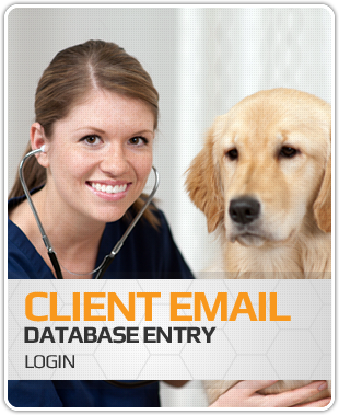 Lovet - Client Email Database Entry