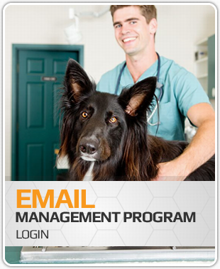 Lovet - Email Management Program